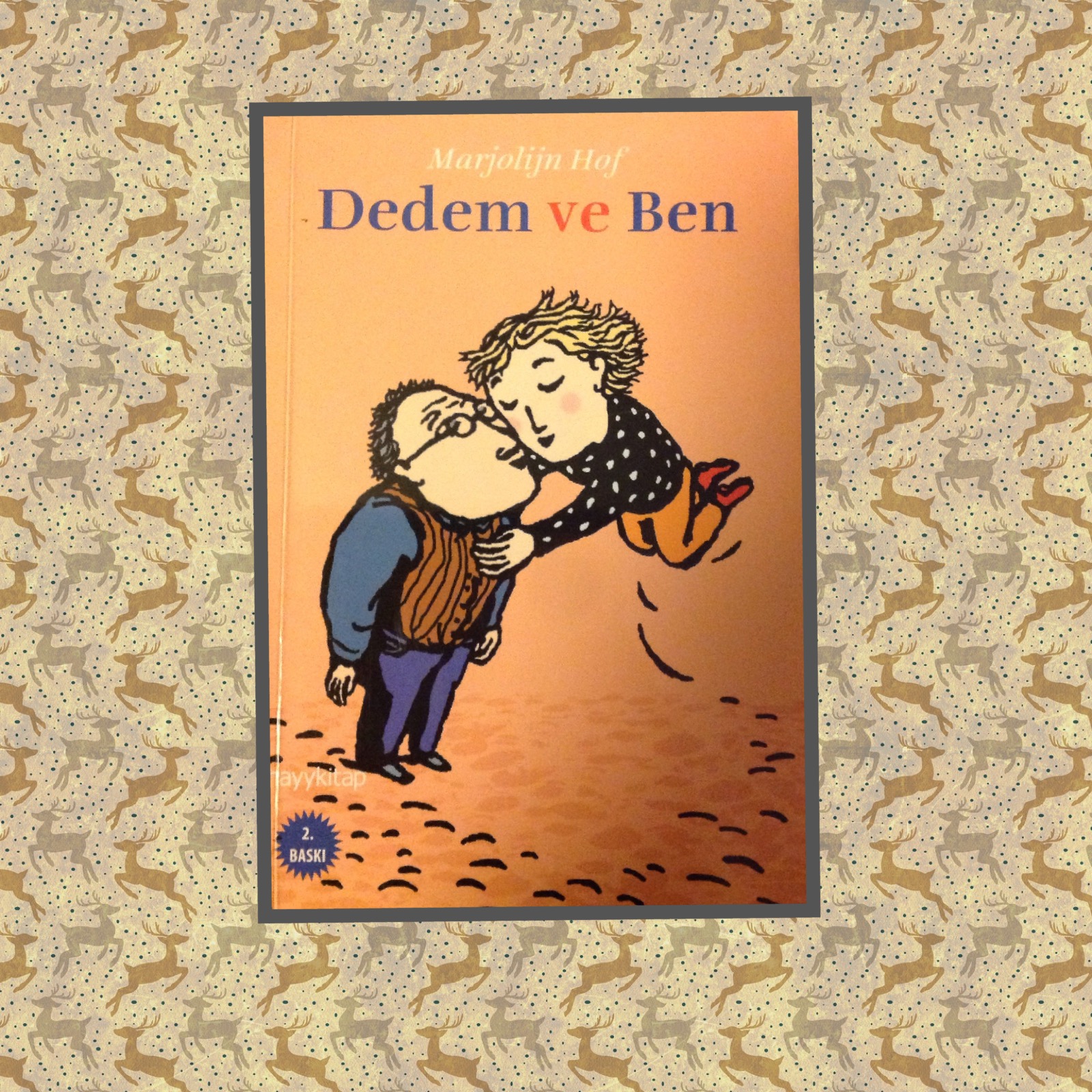 cocuklar-icin-kitap-onerileri-dedem-ve-ben-by-marjolijn-hof-9-yas-ve-uzeri