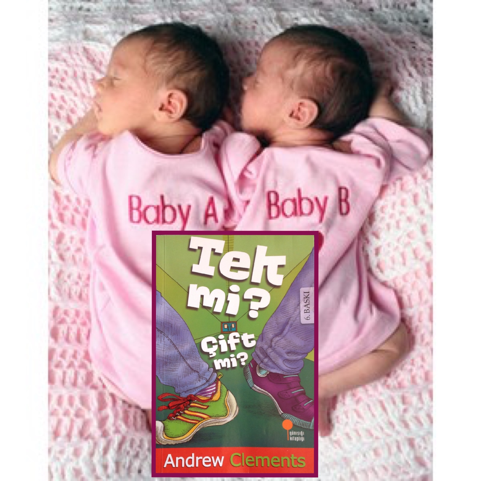 cocuklar-icin-kitap-onerileri-tek-mi-cift-mi-by-andrew-clements-9-yas-ve-uzeri