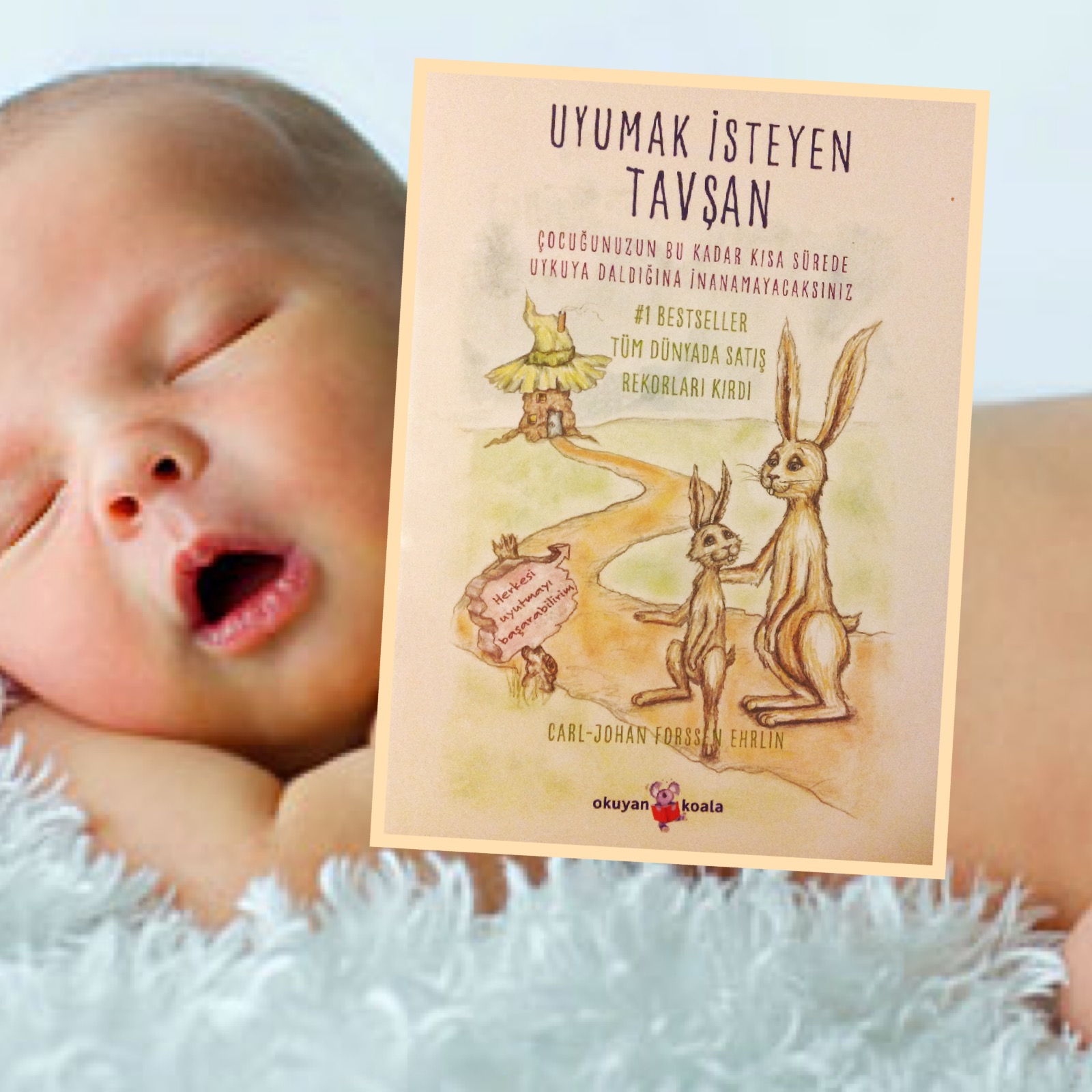 cocuklar-icin-kitap-onerileri-uyumak-isteyen-tavsan-by-carl-johan-forssén-ehrlin-2-yas-ve-uzeri