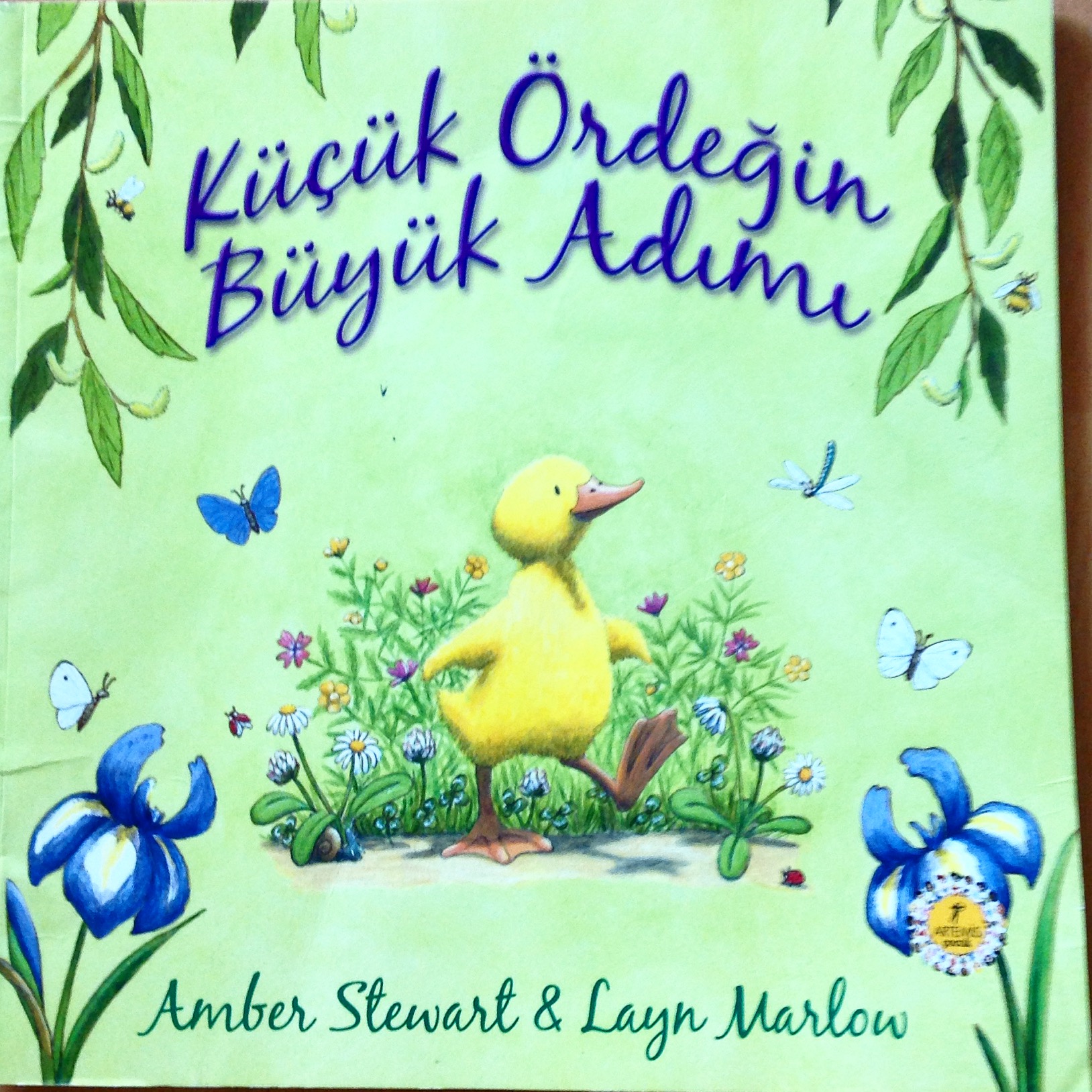 cocuklar-icin-kitap-onerileri-kucuk-ordegin-buyuk-adimi-by-amber-stewart-2-yas-ve-uzeri