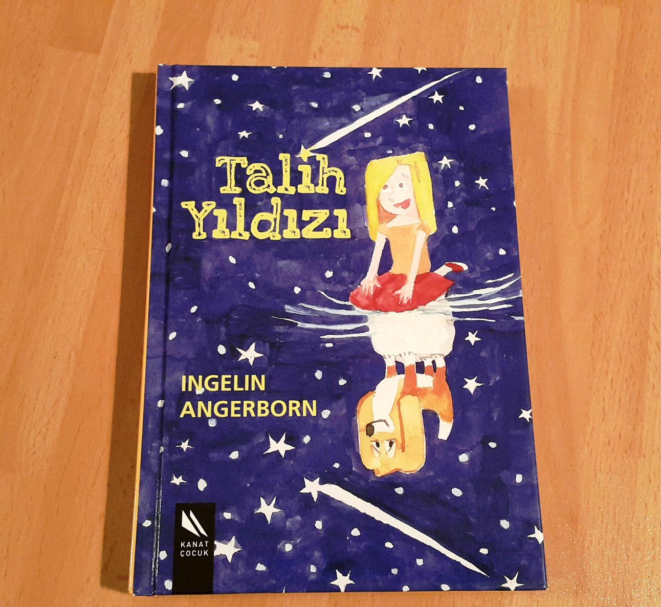 cocuklar-icin-kitap-onerileri-talih-yildizi-by-ingelin-angerborn-8-yas-ve-uzeri