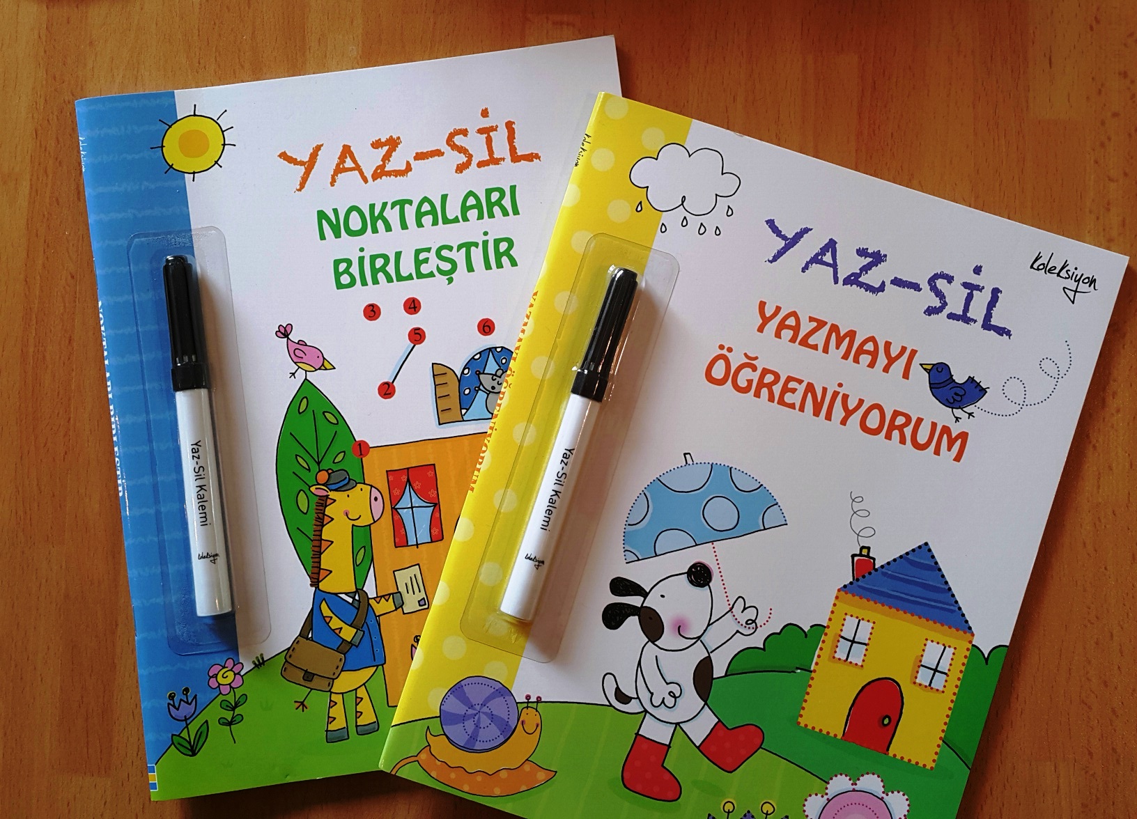 cocuklar-icin-kitap-onerileri-yaz-sil-serisi-by-claire-ever-4-yas-ve-uzeri